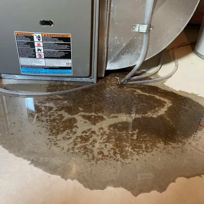 Appliance Leak Cleanup in Middleburg, PA